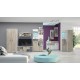 Modul TV Viva M5