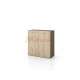Mobilier hol - Pantofare - Pantofar City 4035 cu inchidere usoara a usilor